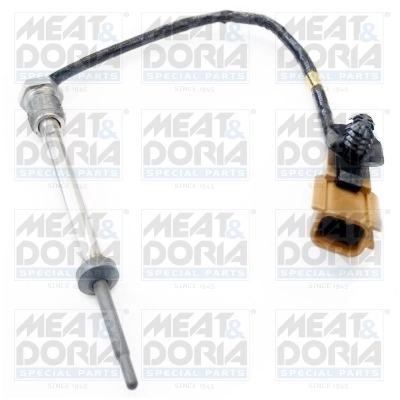 Sensor, exhaust gas temperature